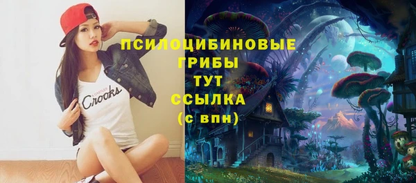 2c-b Белоозёрский