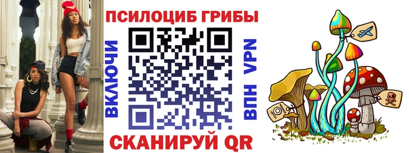 Галлюциногенные грибы мухоморы  где купить   Буйнакск 