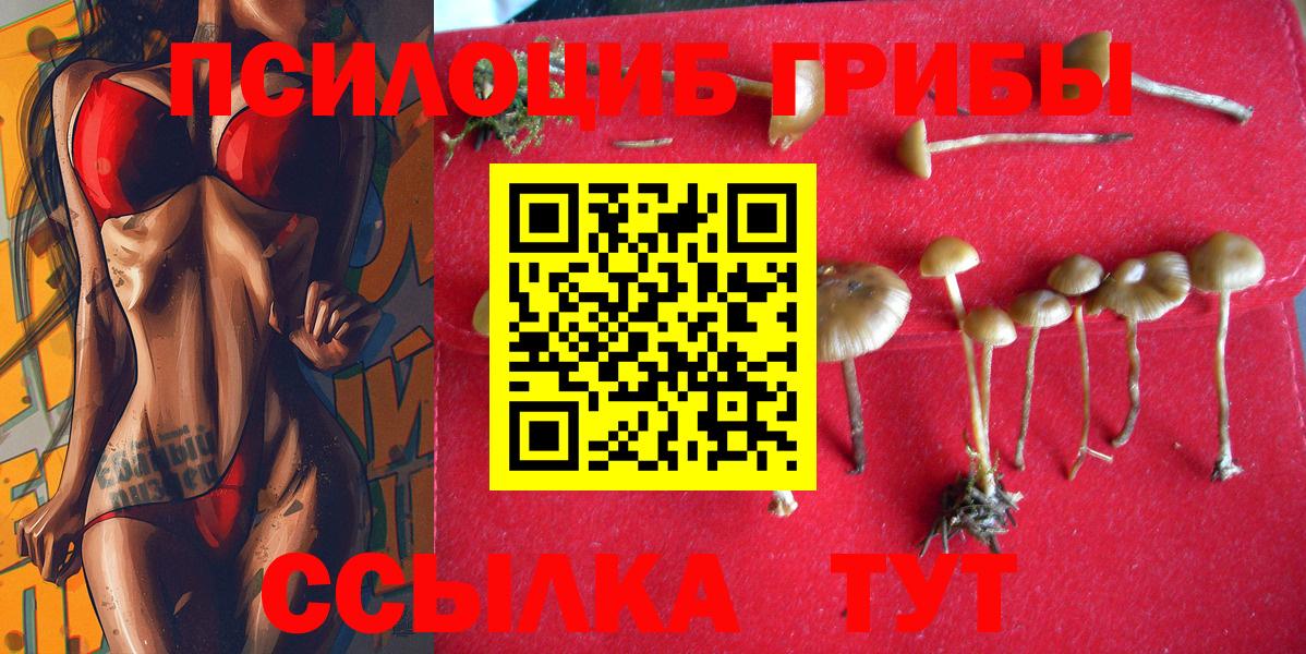 Галлюциногенные грибы мухоморы  Вход с VPN  Буйнакск  Галлюциногенные грибы мицелий 