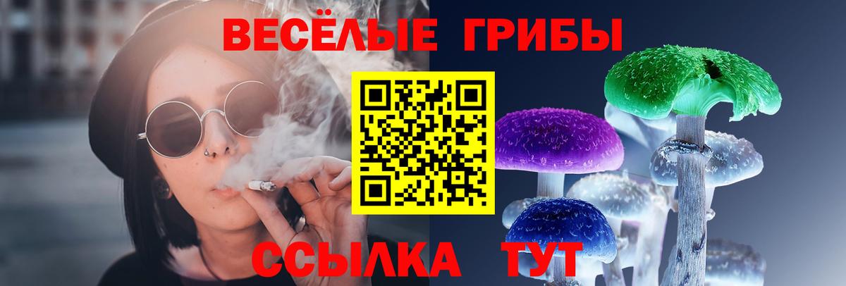 Галлюциногенные грибы ЛСД Буйнакск