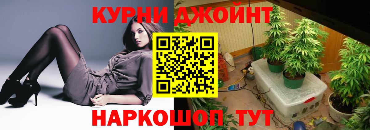 Бошки Шишки конопля Буйнакск